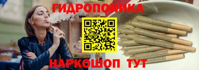 прущие крисы Кимры