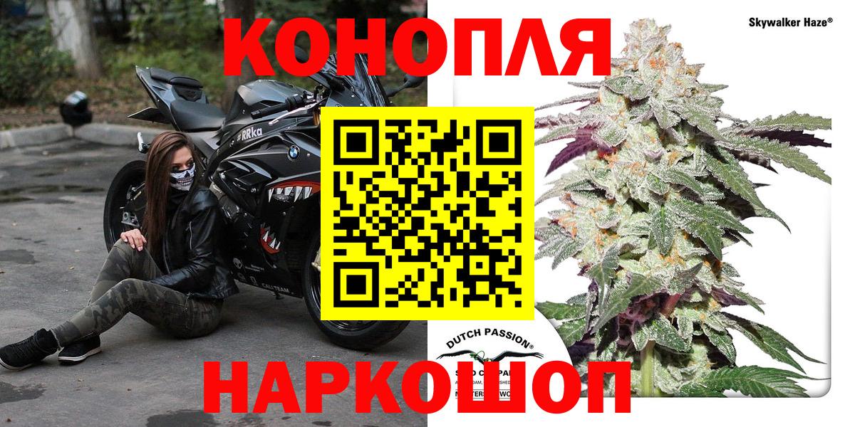 Шишки марихуана планчик  Вход с VPN  Канабис сатива  МАРИХУАНА ГИДРОПОН  Шебекино 